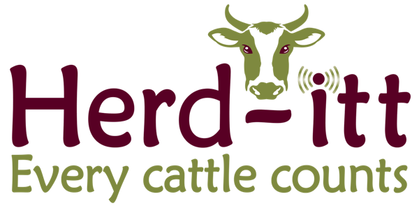 Herd-itt